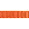 Red Dingo postroj – Orange – 25 mm x 56-80 cm