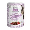 Brit Care Cat Snack Superfruits Salmon 100g EXP 24/10/2025