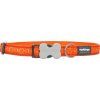 Obojek RD 20 mm x 30-47 cm Hypno orange