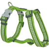 Red Dingo postroj reflexní – Bones Lime – 25 mm x 56-80 cm
