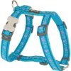 Red Dingo postroj – Butterfly Turquoise – 25 mm x 56-80 cm