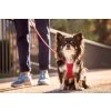 CURLI Postroj pro psy se sponou Air-Mesh Black XS, 3-5 kg