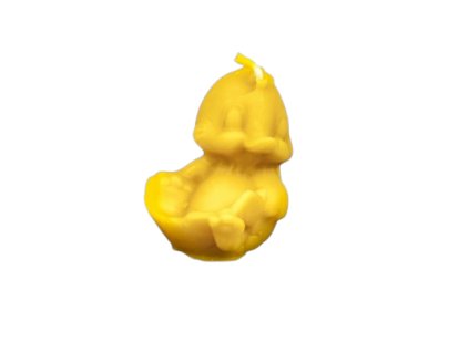 204 kacatko removebg preview