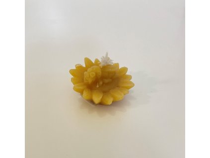 Photo 02.04.2022 9 14 22