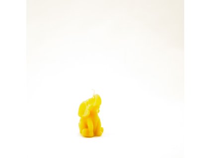 Slon 2 (hlava vzhůru)