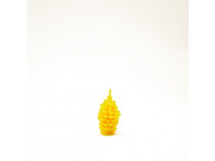 Šiška rozvitá malá