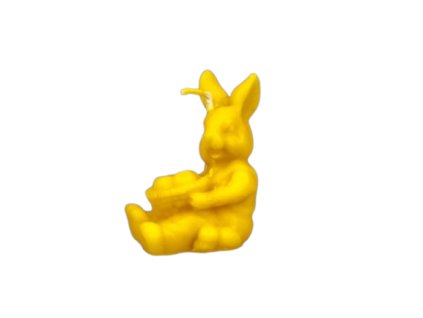 246 zajic s osatkou removebg preview