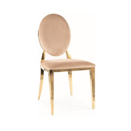 king velvet jídelní židle zlatá běsová