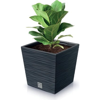 uzasny-květinac-furu-squarel-v-designne-antracit-30-cm