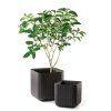 Hnědý květináč CUBE PLANTER v různých velikostech