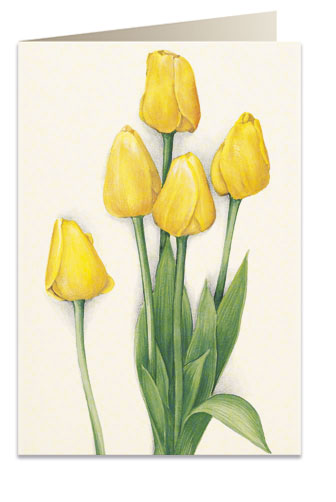 Tassotti Blahopřání Žluté tulipány