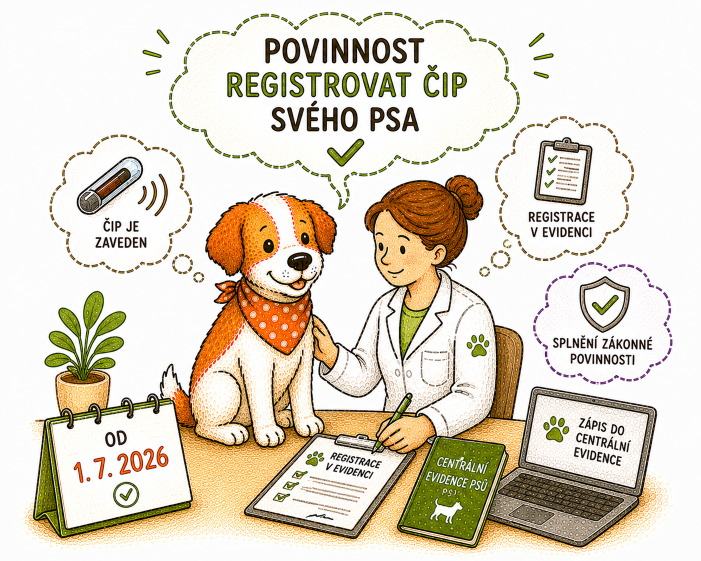 Povinná Centrální evidence psů (CEP) od července 2026: Co musíš jako majitel psa udělat | MUJPES.CZ