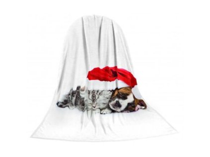 Deka TEXSTAR mikrovlákno 280g 150 x 200 cm, kotě a štěně vánoční