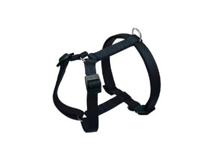 19356 postroj champion p l cerny fp 1ks