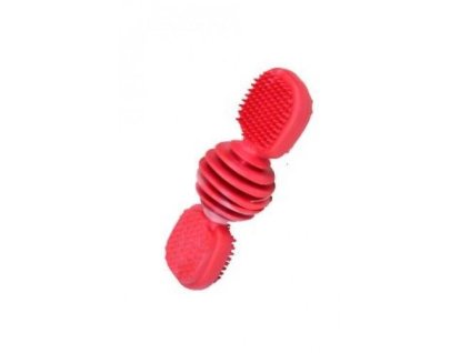 22962 hracka pes kartac dentalni vanil 12 cm sp