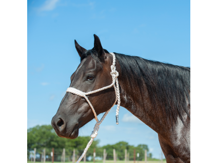 classic equine flat braid halter wleadrope 1