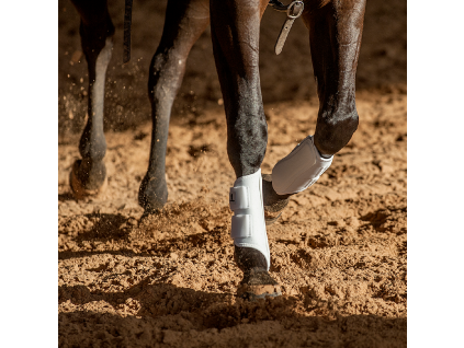 classic equine airwave classic splint boots front 1 hAXE02t