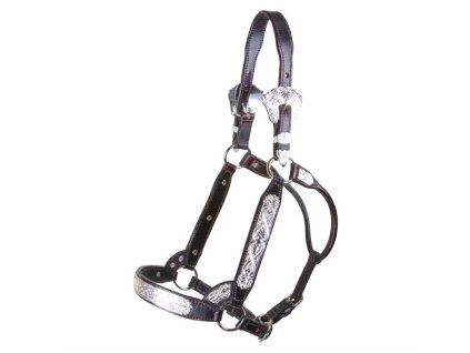billy royal sp nantucket show halter 1