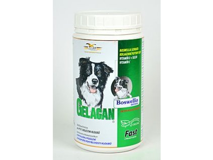 Gelacan Fast 500G (Gelacan Fast plv 150g -)