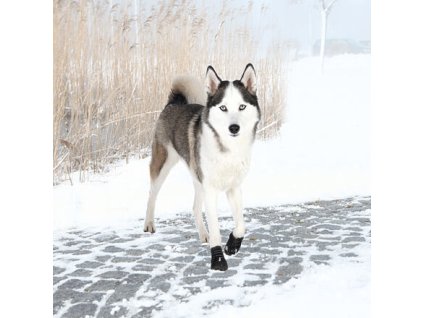 Ochranné boty WALKER ACTIVE, 2 ks (Velikost XS-S: např. miniaturní pinč)