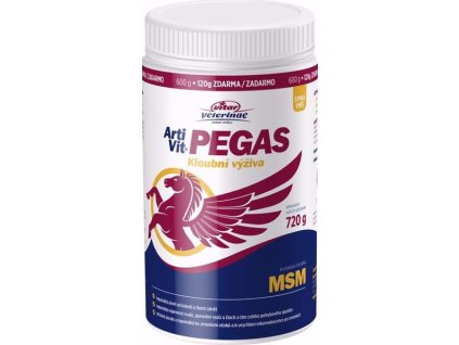 74604 artivit pegas msm plv 720 g