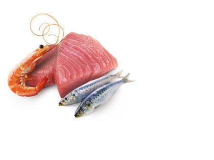77613 n d cat ocean adult tuna sardine shrimps 80g 80g zdarma