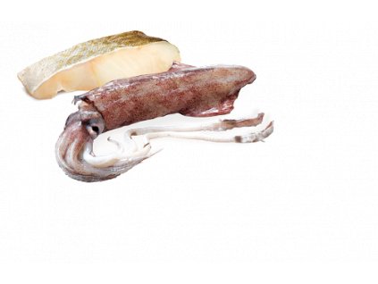 77691 n d dog ocean adult codfish squid 285g 285g zdarma
