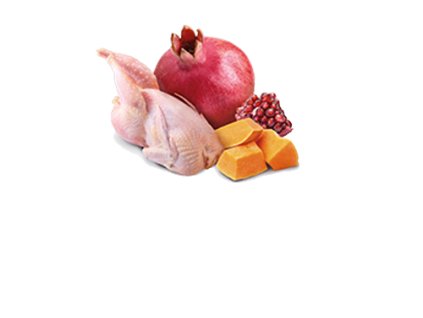 77730 n d cat pumpkin adult quail pumpkin 80g 80g zdarma