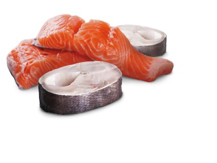 77802 n d dog ocean adult trout salmon 285g 285g zdarma