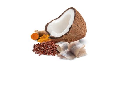 77811 n d cat quinoa adult herring coconut 80g 80g zdarma