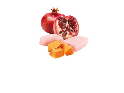 77895 n d dog pumpkin puppy chicken pomegranate 285g 285g zdarma