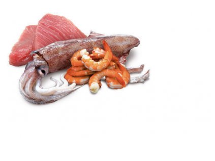 77913 n d cat ocean adult tuna squid shrimps 80g 80g zdarma