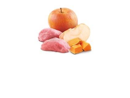 77925 n d dog pumpkin adult boar apple mini 140g 140g zdarma