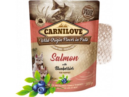 83658 carnilove dog pouch pate salmon blueber puppies 300g