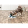 Dog Activity Poker Box Vario 2, 32 x 17cm