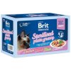 BritPremium Cat Fillets in Gravy Family Plate Sterilised