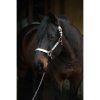 western show halter with silver and chain 0 d3WEwNg