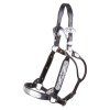 billy royal sp nantucket show halter 1