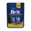 3114 brit premium cat kapsa with chicken turkey 100g