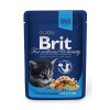 5478 brit premium cat kapsa chicken chunks for kitten 100g