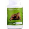 Roboran pro plazy (Roboran pro plazy 1kg -)