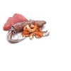 77913 n d cat ocean adult tuna squid shrimps 80g 80g zdarma