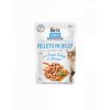 90027 brit care cat fillets in jelly with turkey shrimps 85g