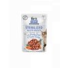 90075 brit care cat fillets in jelly steril duck turkey 85g