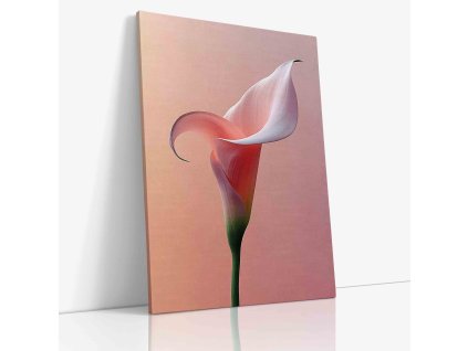 PDFLOWER 0039 VIEW Canvas V mirror wr