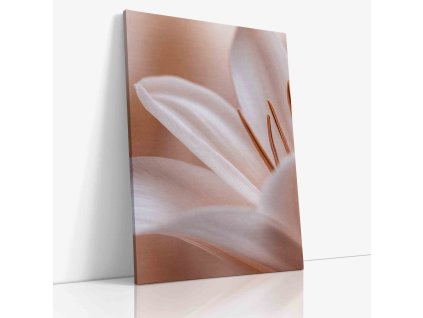 PDFLOWER 0040 VIEW Canvas V mirror wr