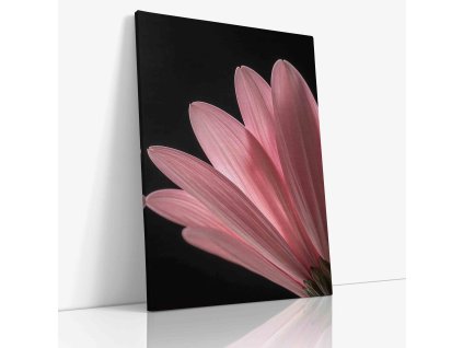 PDFLOWER 0043 VIEW Canvas V mirror wr