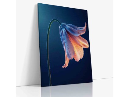 PDFLOWER 0045 VIEW Canvas V mirror wr