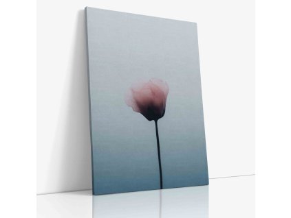 PDFLOWER 0046 VIEW Canvas V mirror wr