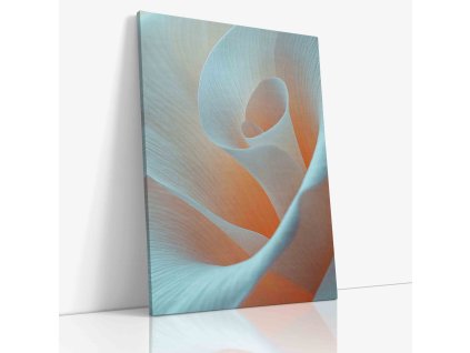 PDFLOWER 0064 VIEW Canvas V mirror wr